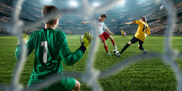 手进行了深 手进行了深